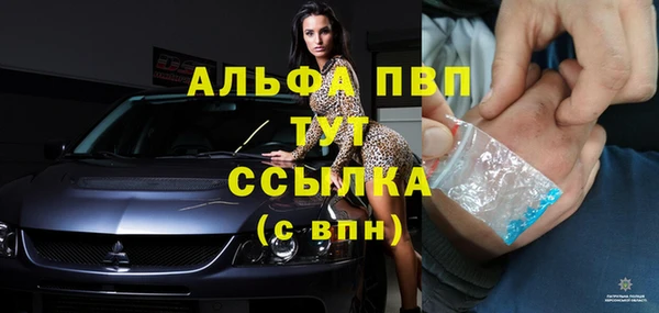 мдпв Магас