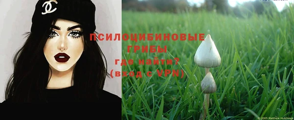 мдпв Магас