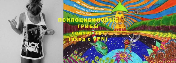 не бодяженный Магадан