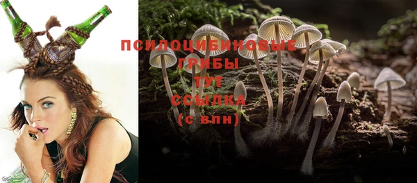 ешки Новосибирск