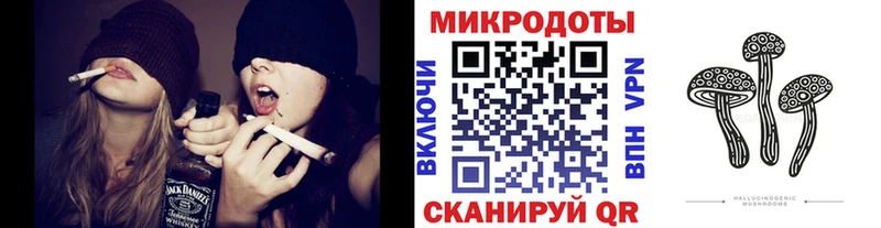 Псилоцибиновые грибы Psilocybe  Оренбург 